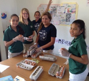 Students cleaning the eggs in preparation for the Feria!